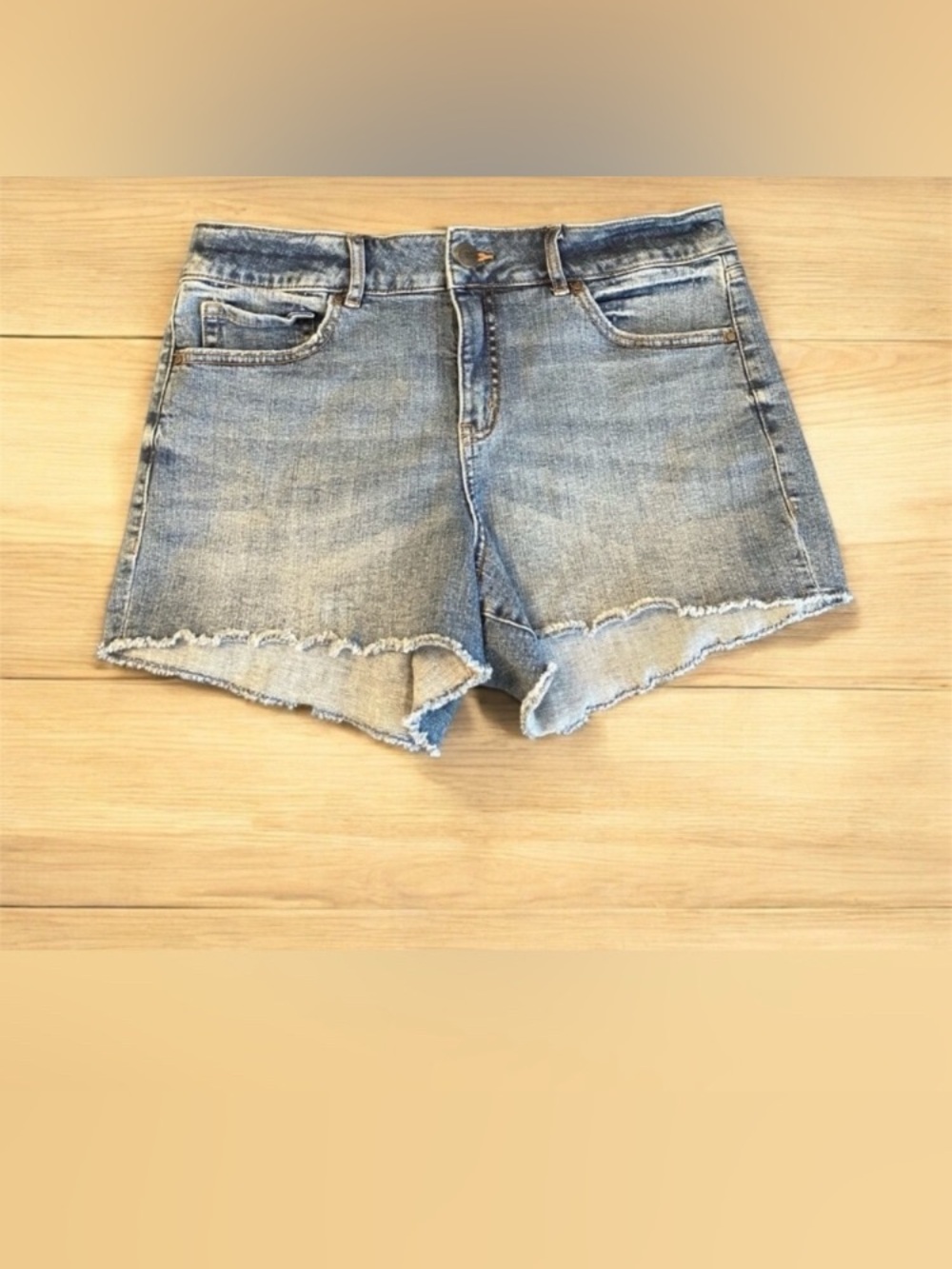 Ricki's Denim Blue Women's Shorts Size 10 Frayed Five Pockets Jean Shorts